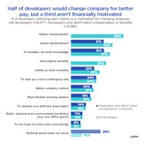 Money talks for half of developers