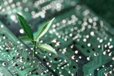 ai environment 