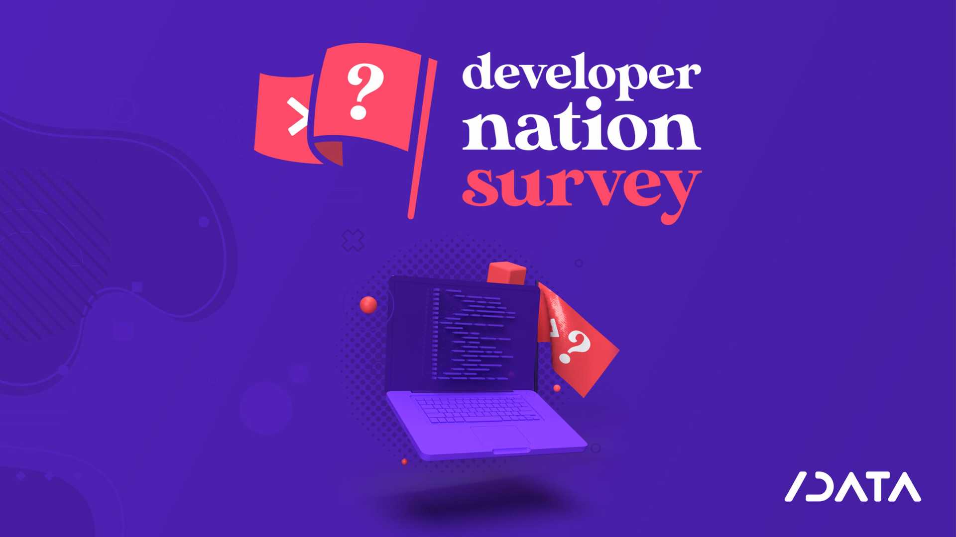 developer nation survey