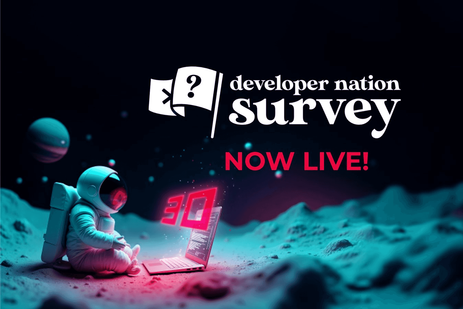 The Developer Nation survey